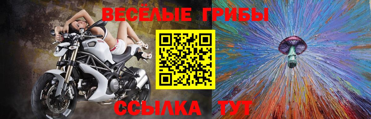 Галлюциногенные грибы прущие грибы  Галлюциногенные грибы Psilocybe  Кубинка  купить   Вход с VPN 